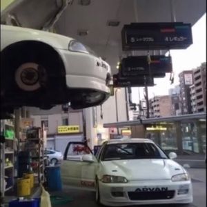 Meet your Posher, Stevie